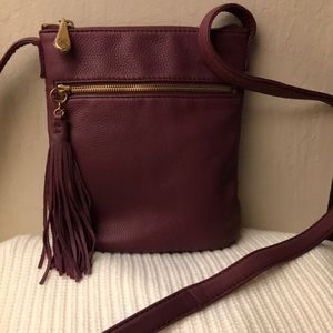 Hobo Drifter Crossbody Bag in Purple